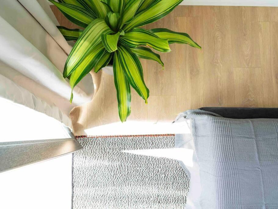 Bright 2Br Apartment - Top Location - City Balcony Bucureşti Ngoại thất bức ảnh